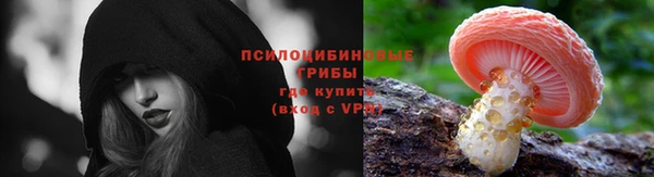 МДПВ Краснослободск