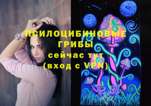 МДПВ Краснослободск