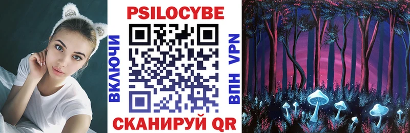 Купить  Дмитров  Галлюциногенные грибы GOLDEN TEACHER 